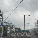도자기축제 이천도자예술마을 주말 방문후기 (솔솔푸른솔,그루도자기,라기환공방,너븐재,예손도자기,비즐)