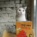 행복잇다사회적협동조합 이미지