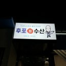 수성자연산매운탕 | [대구 수성구 황금동 맛집] 후포회수산 자연산 대방어 횟집