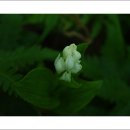 와룡자연휴양림 이미지