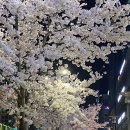 즐거운약사 | [병원일기] 즐거운 병원약사 한 달차 후기