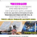 대능자동차공업사 이미지
