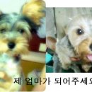 까미