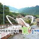 산야초마을 - 안양시 동안구 관악대로287번길 64 | 산야초마을