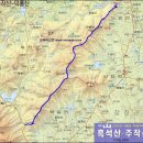 양지-3561 이미지