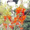 담양오방길5코스(누정길) 이미지