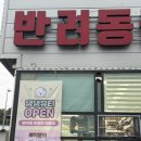 댕댕뷰티 | 증평 댕댕뷰티 구름이 스포팅+얼굴컷 만족후기