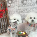 릴리줄리살롱 이미지