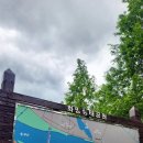 희망의 빛 | 부산 가볼 만한 곳 도심 속 초록빛 쉼표 화명생태공원 산책 코스 총정리 낙동강 희망의 숲