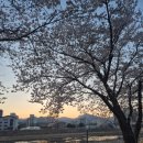 자라목공원 이미지