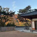 흙처럼 힐링스테이 | 진해 대광사 템플스테이 신관 디지털디톡스 힐링 1박2일 코스