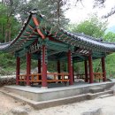 조선시대 티스토리