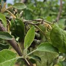 이준구농장 이미지