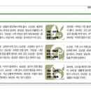 ﻿동양일보 소식(2월6일 오늘의 운세) 이미지