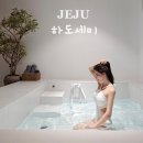 하도세미 이미지