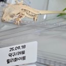원주브리딩 네이버블로그