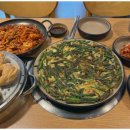 팔당원조칼제비 이미지