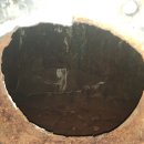 수림사우나 이미지