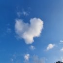 동리 농장 이미지