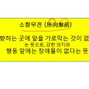 [고정숙 한자교실] 소향무전(所向無前) 이미지