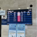 (주)동방 | [중국/상하이] 대구-상하이 직항 항공권 중국동방항공 MU5053 MU5054 탑승후기 및 기내식 서비스 총정리