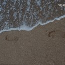 그린비뇨기과의원 이미지