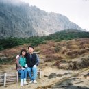 진주식당 이미지