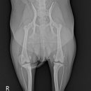 검단이담동물의료센터 이미지