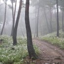 지리산천왕봉의집 이미지