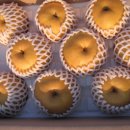 남성동019 이미지