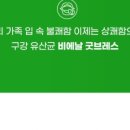 에이스아이 네이버블로그