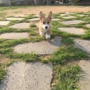 화이트 클라우드 이미지