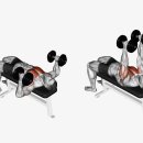 JJ피트니스 이미지