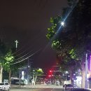 향군로 중부뉴스