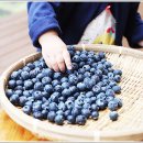 싱싱슈퍼 이미지