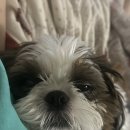 현대프리미엄아울렛 대전점3F 이미지