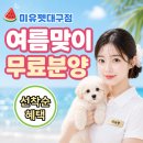 강아지호텔고양이강아지무료분양 | 대구강아지무료분양 알아보다가 직접 다녀온 후기