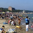 진하해수욕장 이미지