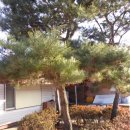 화성주유소 이미지