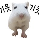굽네치킨대전 네이버블로그