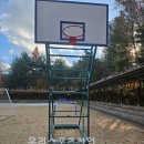 숲속초등학교 이미지