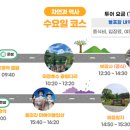 파주시티투어 자연과역사(수요일) 이미지