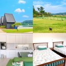 더 레이크 서지 이미지