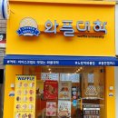 와플대학홍천캠퍼스