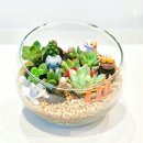 덕촌초등 병설 이미지