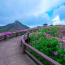 황매산등산로 이미지