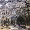 만날근린공원 이미지