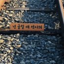 전주한옥레일바이크 티스토리