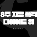 비케이49