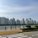 멍스라이프 | 시흥 월곶 오션뷰 애견카페 멍스톡톡 방문 후기